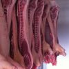 Chilled Frozen Pork Half Carcass - INDUSTRIA FRIGORÍFICA BOA CARNE LTDA