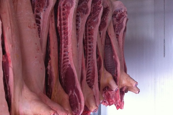 Chilled Frozen Pork Half Carcass - INDUSTRIA FRIGORÍFICA BOA CARNE LTDA